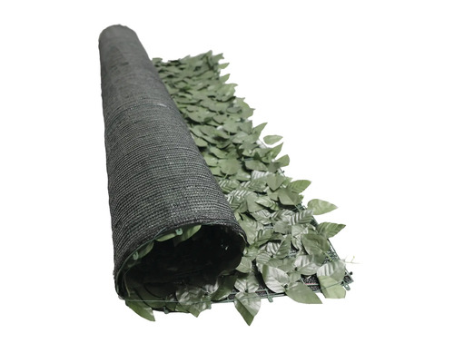 Privește un perete de frunze verzi, rulat