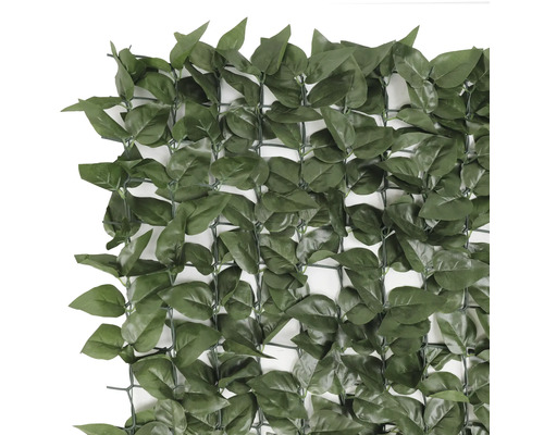 Imitație gard viu/ paravan cu frunze Laurel 100x300 cm | HORNBACH