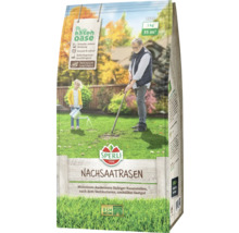 Pachet de semințe pentru gazon Sperli, pentru aproximativ 35 de metri pătrați