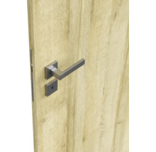 Foaie de ușă Classen stejar Riviera N1 203,5x74,4 cm dreapta