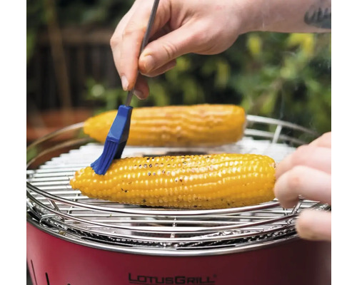 Doi știuleți de porumb sunt unși cu o pensulă pe un grătar Lotus.