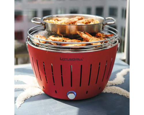 Grătar roșu pe cărbune cu alimente la grătar și logo LotusGrill