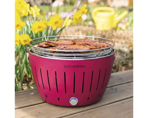 Gratar pe cărbune LotusGrill cu alimente la grătar în grădină