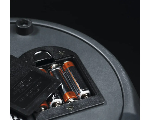 Compartiment baterii cu baterii