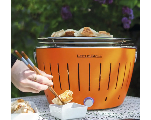 LotusGrill cu mâncare și bețișoare