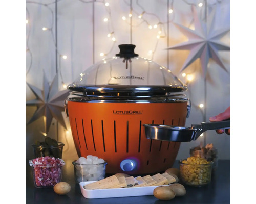 LotusGrill cu alimente pentru preparare