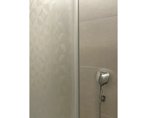 Imagine detaliată cu un duș cu duș de mână și paravan de duș