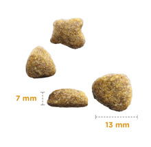 Prim-plan cu hrană uscată pentru câini cu dimensiunea de 7 mm și 13 mm
