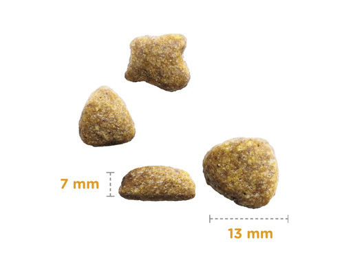 Prim-plan cu hrană uscată pentru câini cu dimensiunea de 7 mm și 13 mm