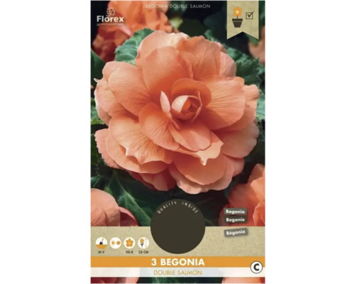 Bulbi de flori Florex begonie Grandiflora somon 3 buc