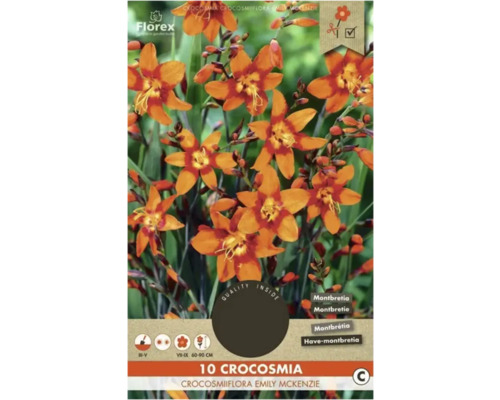 Bulbi de flori Florex Crocosmia Emily Mckenzie 10 buc.