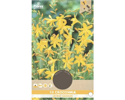 Bulbi de flori Florex Crocosmia George Davidson 10 buc.