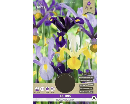 Bulbi de flori Florex iris Hollandica mix 15 buc.