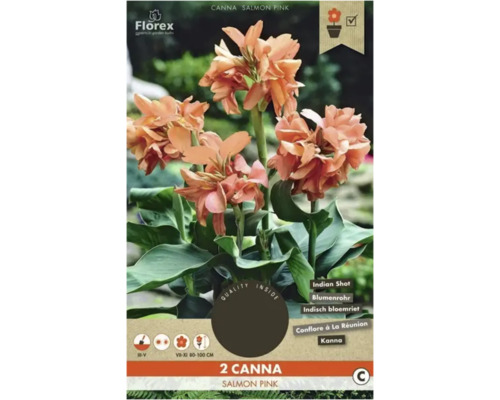 Bulbi de flori Florex Canna roz somon 2 buc.