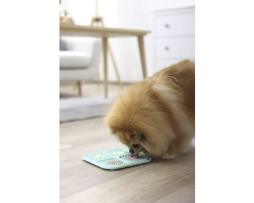 Un câine linge mâncare de pe un covoraș interactiv pentru hrănire.