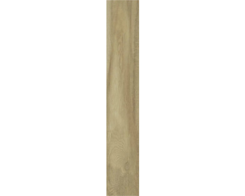 Structura lemnoasă a unei lamele laminate