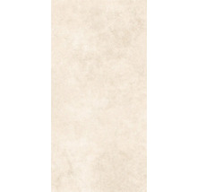 Gresie exterior / interior porțelanată glazurată Evoque natural 30x60 cm