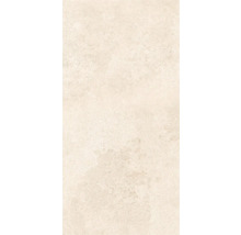 Gresie exterior / interior porțelanată glazurată Evoque natural 30x60 cm