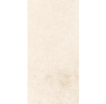 Gresie exterior / interior porțelanată glazurată Evoque natural 30x60 cm