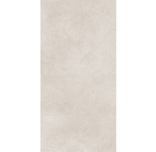 Gresie exterior / interior porțelanată glazurată Evoque gri deschis 30x60 cm