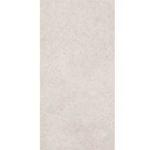 Gresie exterior / interior porțelanată glazurată Evoque gri deschis 30x60 cm