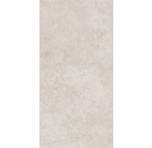 Gresie exterior / interior porțelanată glazurată Evoque gri deschis 30x60 cm