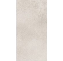 Gresie exterior / interior porțelanată glazurată Evoque gri deschis 30x60 cm
