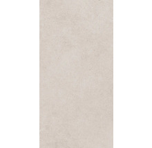 Gresie exterior / interior porțelanată glazurată Evoque gri deschis 30x60 cm