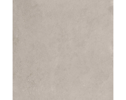 Model de faianță cu suprafață mată