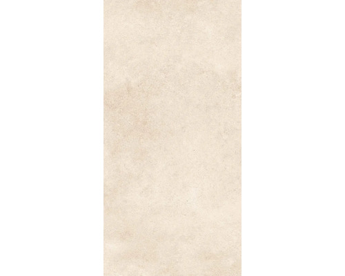 Aspect de faianță cu aspect de piatră