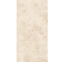 Gresie exterior / interior porțelanată glazurată Evoque natural 60x120 cm