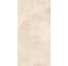Gresie exterior / interior porțelanată glazurată Evoque natural 60x120 cm