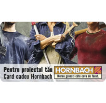 Card cadou HORNBACH cu diferite motive la alegere (trimis prin e-mail)-thumb-2