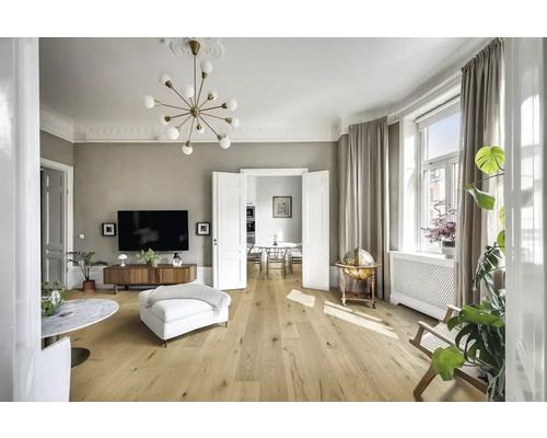 Cameră de zi cu podea din lemn, iluminat și mobilier