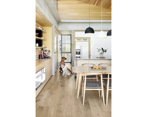 Spațiu de bucătărie luminos și modern, cu podea din lemn, masă și doi câini
