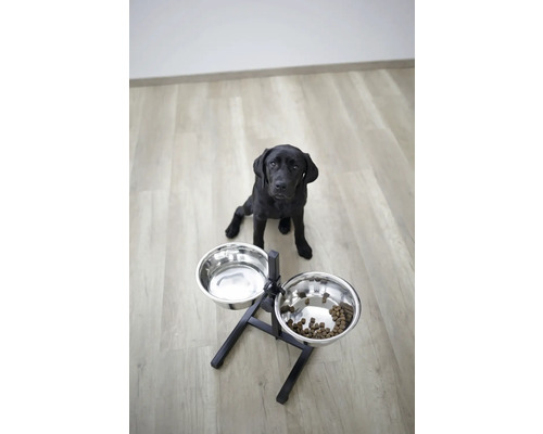 Labrador negru stă așezat în fața unui bol dublu pentru câini
