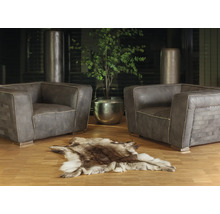 Living cu două fotolii, un covor din piele de animal și o plantă de interior