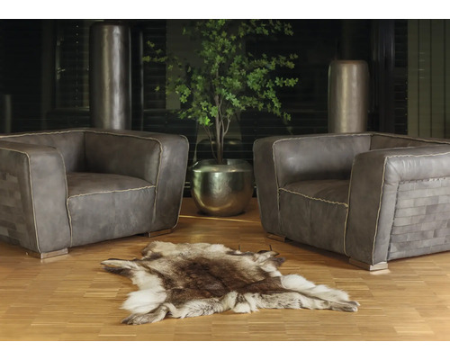 Living cu două fotolii, un covor din piele de animal și o plantă de interior