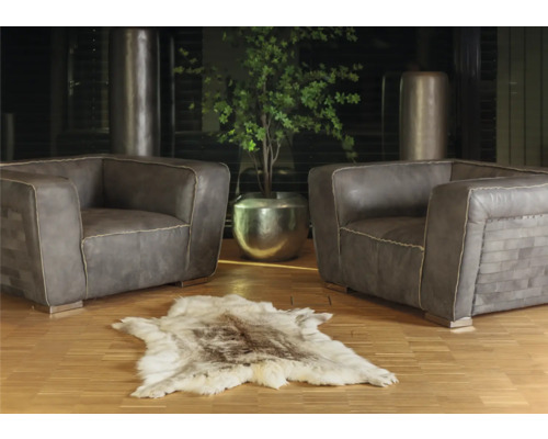 Două fotolii cu o covorașă din blană și o plantă într-un vas argintiu