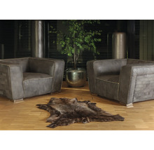 Cameră de zi cu două fotolii, un covor din piele de animal și o plantă la ghiveci