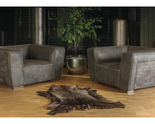 Cameră de zi cu două fotolii, un covor din piele de animal și o plantă la ghiveci