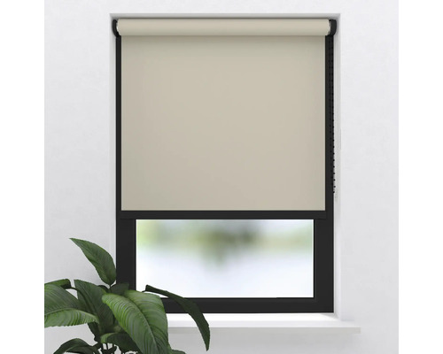 Fereastră cu rulou și plantă