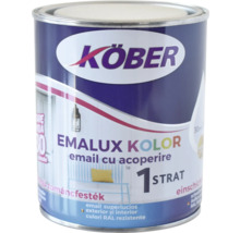 Cutie de vopsea emailată KÖBER pentru interior și exterior
