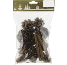 Set decorativ cu conuri de pin, fructe de pădure și batoane de scorțișoară în ambalaj de plastic
