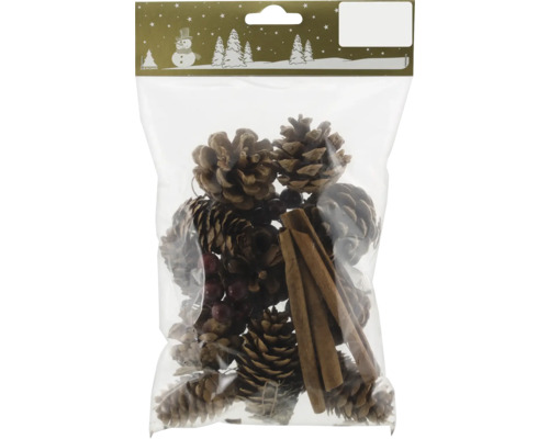 Set decorativ cu conuri de pin, fructe de pădure și batoane de scorțișoară în ambalaj de plastic