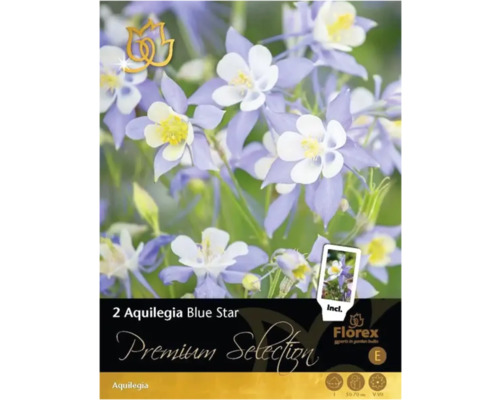 Bulbi de flori Premium Selection Aquilegia 'Blue Star' 2 buc.