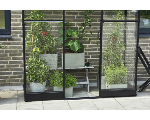 Seră cu diverse plante în ghivece