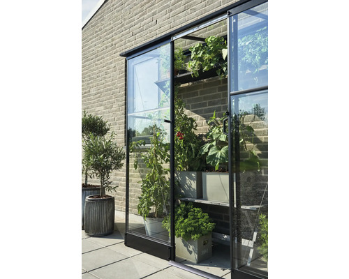 Seră cu plante pe rafturi și în ghiveci în fața unui zid de cărămidă