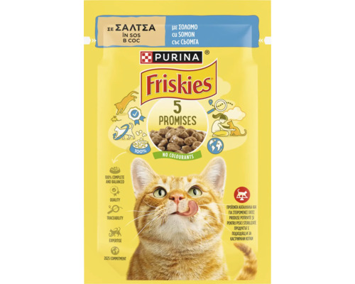 Hrană umedă pentru pisici PURINA Friskies Adult cu somon în sos 85 g