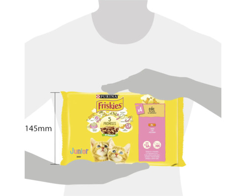 Purina Friskies Junior hrană pentru pisici cu carne de pasăre în sos
